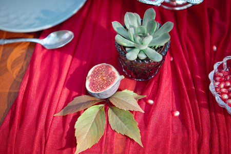 Fresh halved fig appetizer with red wineの写真素材