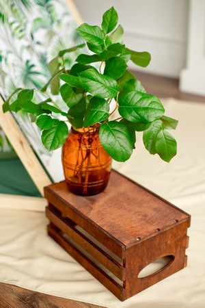 Decor for the Easter holiday, a vase with green leaves and mimosa flowers.の写真素材