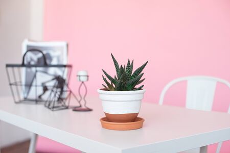 White table desk with copy space, supplies and a coffee mug pot with a flower on a pink background. Front view and copy space.の写真素材