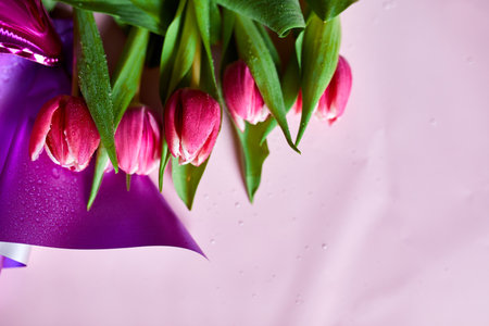 Top view pink tulips flowers in violet paper wrapper, festive background, concept of Happy Mother's day, Woman's day, birthday, 8 March, Valentines dayの写真素材