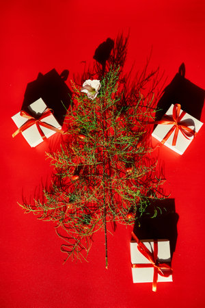 Flat Lay Of needle Leaves In A Shape Of A Christmas Tree with flower and berries, presents gifts box Christmas tree decorated on a red backgroundの写真素材