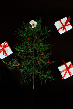 Flat Lay Of needle Leaves In A Shape Of A Christmas Tree with flower and berries, presents gifts box Christmas tree decorated on a black backgroundの写真素材
