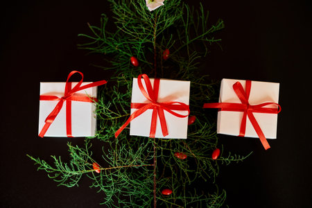 Top view Christmas eco friendly packaging kraft paper and fir branches gifts for the Holiday season on black background, hard lightの写真素材