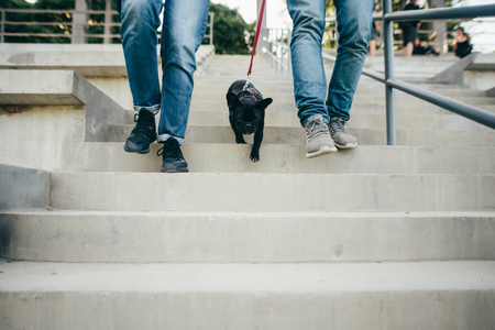 Loving couple on a walk with a pet french bulldogの写真素材