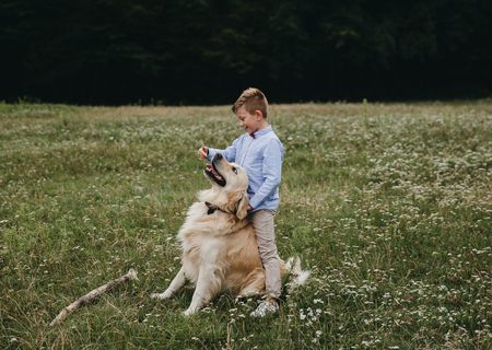 happy young family have fun and play with beautiful dog at vacations on beautiful beach