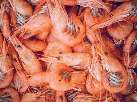 Background from sea orange shrimp. Food texture.Food photography.Prawn background.の写真素材