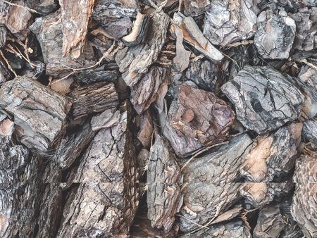 Texture of mulched bark lying on the ground.Macrophotography.の写真素材