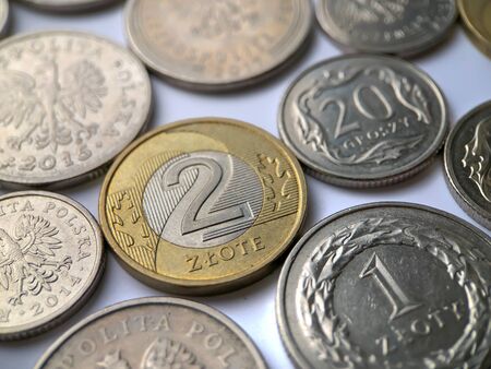 Polish zloty coins on white background.Close up photography.の写真素材