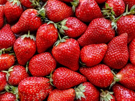 Flatlay from a large number of strawberries. Natural background.の写真素材