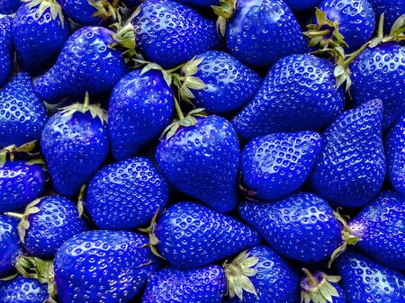 Classic blue color of the year 2020. Main trend natural and authentic concept. Food photography.の写真素材