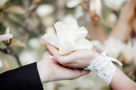 A woman's hand in wedding gloves with a magnolia flower lies in a man's hand against the backdrop of beautiful nature. Wedding romantic concept.の写真素材