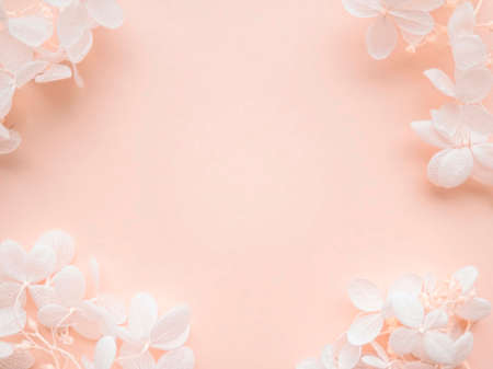 Flowers composition. Frame made of white flowers hydrangea on pink background. Wedding day, mothers...