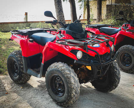 Red ATV on the background of a tropical landscapeの写真素材
