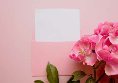 Pink envelope with a white mockup sheet and a sprig of bright pink rose next to it on pink backgroundの写真素材