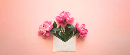 White envelope with pink peonies inside on a pink background. Template for newsletters and other...