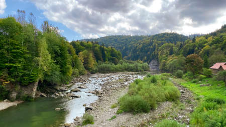 Mountain river in autumn flowing among a beautiful forest in the Carpathians, Ukraine.