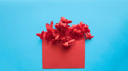 Red envelope with red flowers inside on a blue background.の写真素材