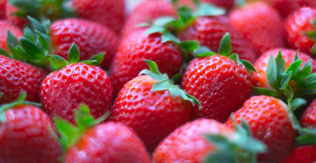 Close-up of a large number of strawberries. Natural background.の写真素材