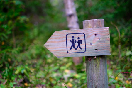 A wooden pole with an indicator of the direction of a walking route in a forest park area. Recreation and tourismの写真素材