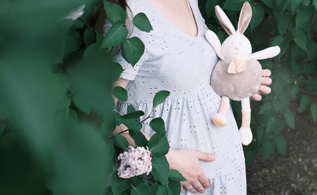 Close-up of a pregnant girl in a soft blue dress with a bouquet of white chrysanthemums and a toy bunnyの写真素材