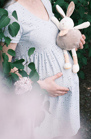 Close-up of a pregnant girl in a soft blue dress with a bouquet of white chrysanthemums and a toy bunnyの写真素材