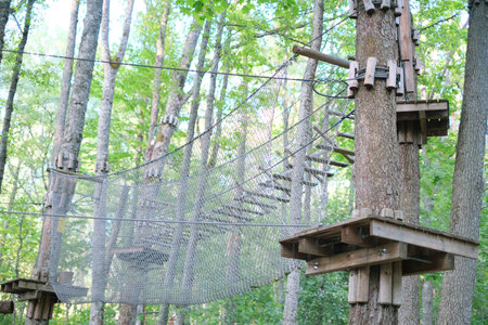 Rope park on trees close-up. The concept of sports and recreationの写真素材