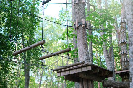 Rope park on trees close-up. The concept of sports and recreationの写真素材