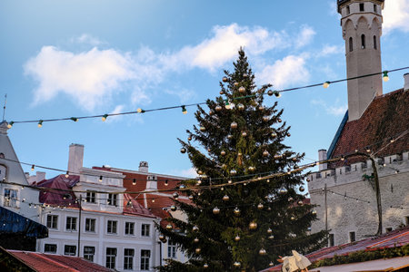European city square adorned for Christmas. Christmas tree and holiday decorationsの写真素材