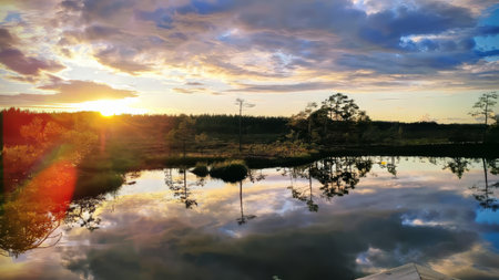 A lake with trees and a sunset in the background.の写真素材