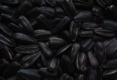 A close-up, high-angle view of a large pile of black sunflower seeds.