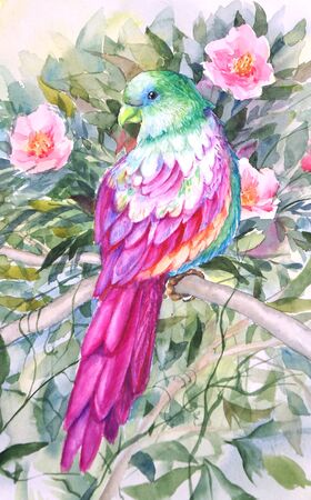 Watercolor picture of a parrot with colorful plumage. Bird on a background of tropical flowers and leaves. Bright parrot pattern for postcards, fabrics, paper.の写真素材