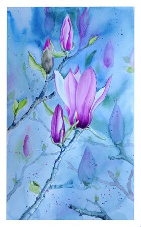 Watercolor drawing of flowering Magnolia branches. Pink Magnolia. Magnolia Of Solange. Delicate flowers can be used to decorate postcards.の写真素材