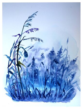 Watercolor illustration of a puddle in a meadow with grasses and fireflies. Foggy evening in the meadow. Meadow grass.の写真素材
