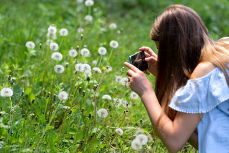 Girl taking photo of dandelion by smartphone. Summer activity in a nature. Nature-study. Allergy season.の写真素材