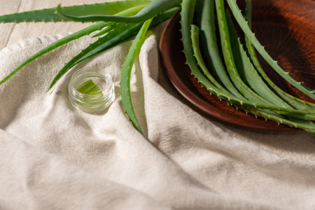 Aloe vera plant gel and leaves on a plate on a crumpled beige linen blanket. Aesthetic minimal floral compositionの写真素材