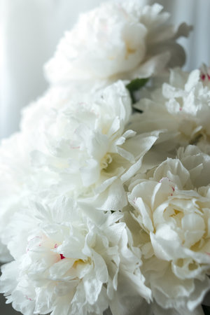 white peony flowers with soft focus, natural easter floral, womans day, mothers day greeting card with a copy spaceの写真素材