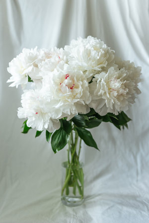 Bouquet of white peonies with soft focus in glass vase on a neutral textile background, spring, easter, mothers or womans day greeting cardの写真素材