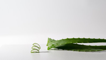 Sliced aloe vera plant leaves on a white neutral background, copy spaceの写真素材