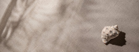 Minimalist aesthetic neutral summer vacation texture banner, close up view of a sea shell with...