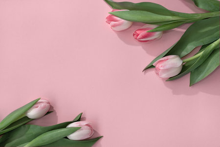 Aesthetic floral composition, tulip flowers on a pastel pink background, greeting card template. Women's day or Mother's day concept.の写真素材