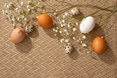 Aesthetic Easter spring minimalist banner, floral composition with natural color eggs and gypsophyla flowers on a warm beige neutral background, copy spaceの写真素材