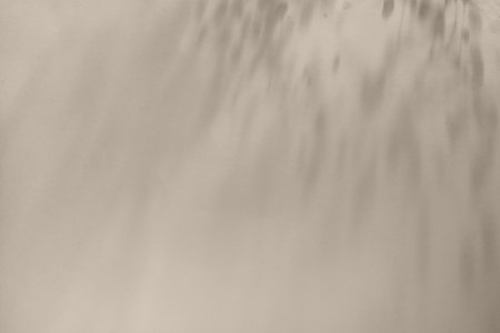 Abstract floral sunlight shadows on a neutral beige wall, aesthetic minimalist natural background, copy spaceの写真素材