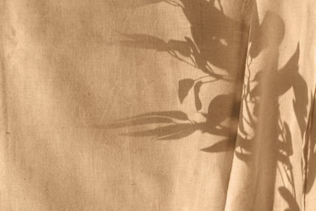 Floral sunlight shadow on a beige curtain. Foliage silhouette in sunset light. Aesthetic natural background with copy spaceの写真素材