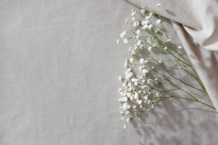 Minimalist natural textile beige background with a gypsophila flowers, copy spaceの写真素材