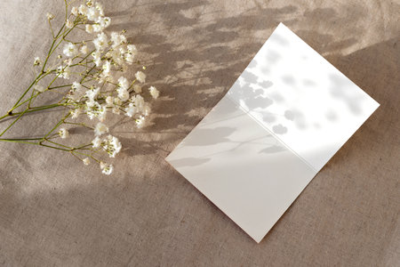 Blank greeting paper card template with floral sunlight shadows on a beige background, natural lifestyle mockup with copy spaceの写真素材