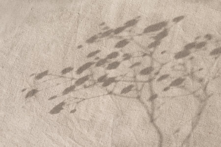 Floral sunlight shadows on a neutral beige linen textile, aesthetic minimalist natural background, copy spaceの写真素材