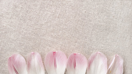 Neutral beige linen textile texture background with flower petals border, subtle natural aesthetic web banner or blog design template. copy spaceの写真素材