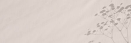 Floral sunlight shadows on a neutral beige wall, aesthetic minimalist natural background, web banner design with copy spaceの写真素材