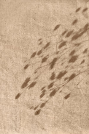 Floral sunlight shadow on a warm beige curtain. Foliage silhouette in sunset light. Aesthetic natural background with copy spaceの写真素材