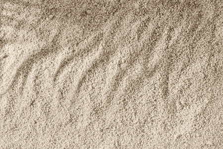 Aesthetic minimalist summer vacation background, a neutral beige beach sand texture with floral sunlight shadows, copy spaceの写真素材